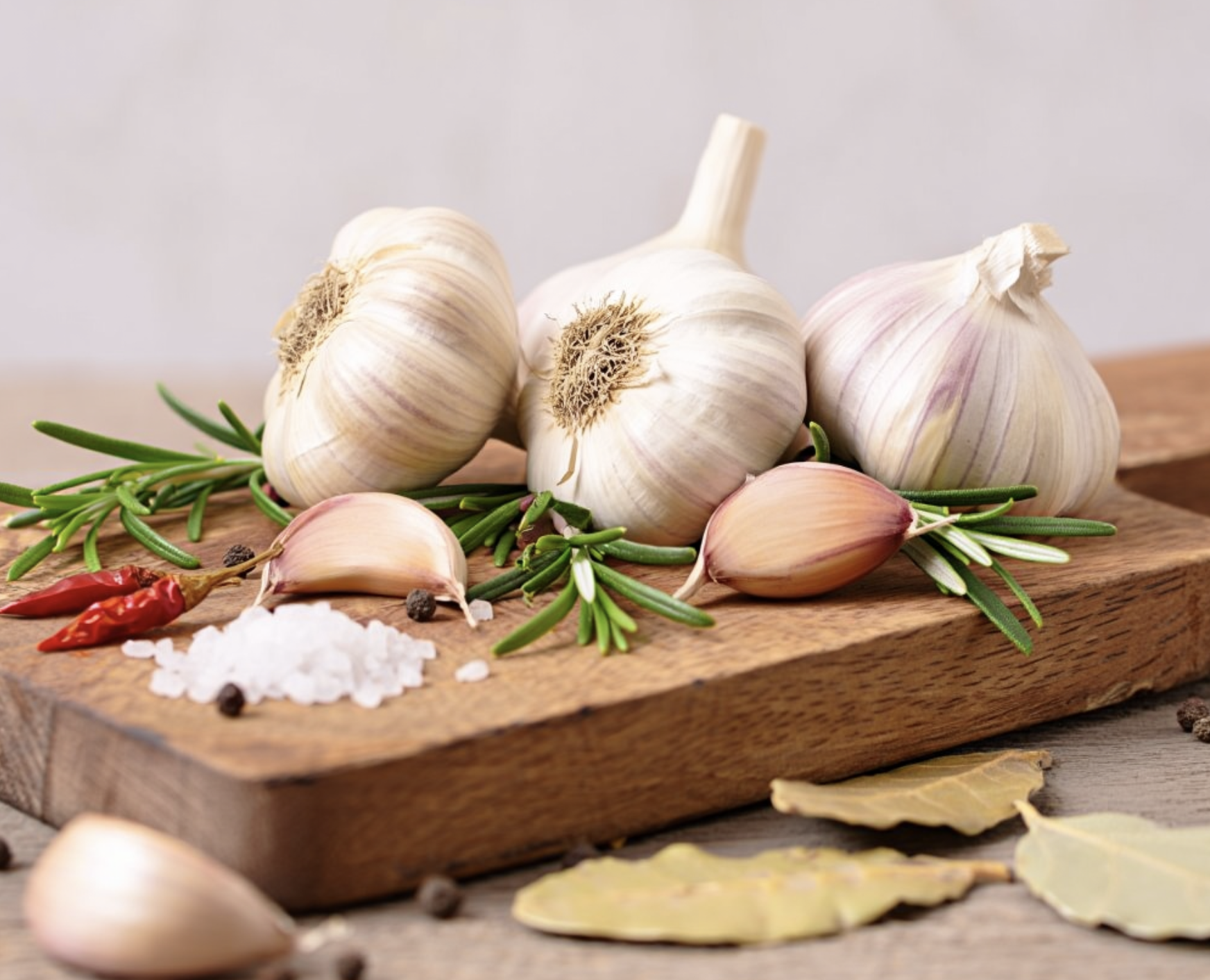 Свежая ветвь лавра